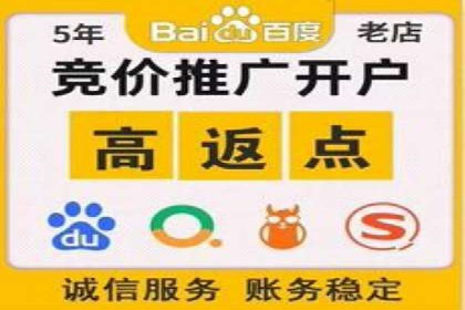 行业领先企业的SEM推广策略揭秘